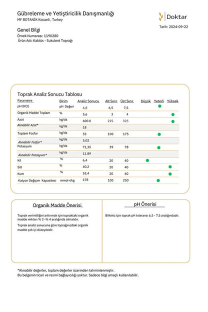 Kaktüs & Sukulent Toprağı